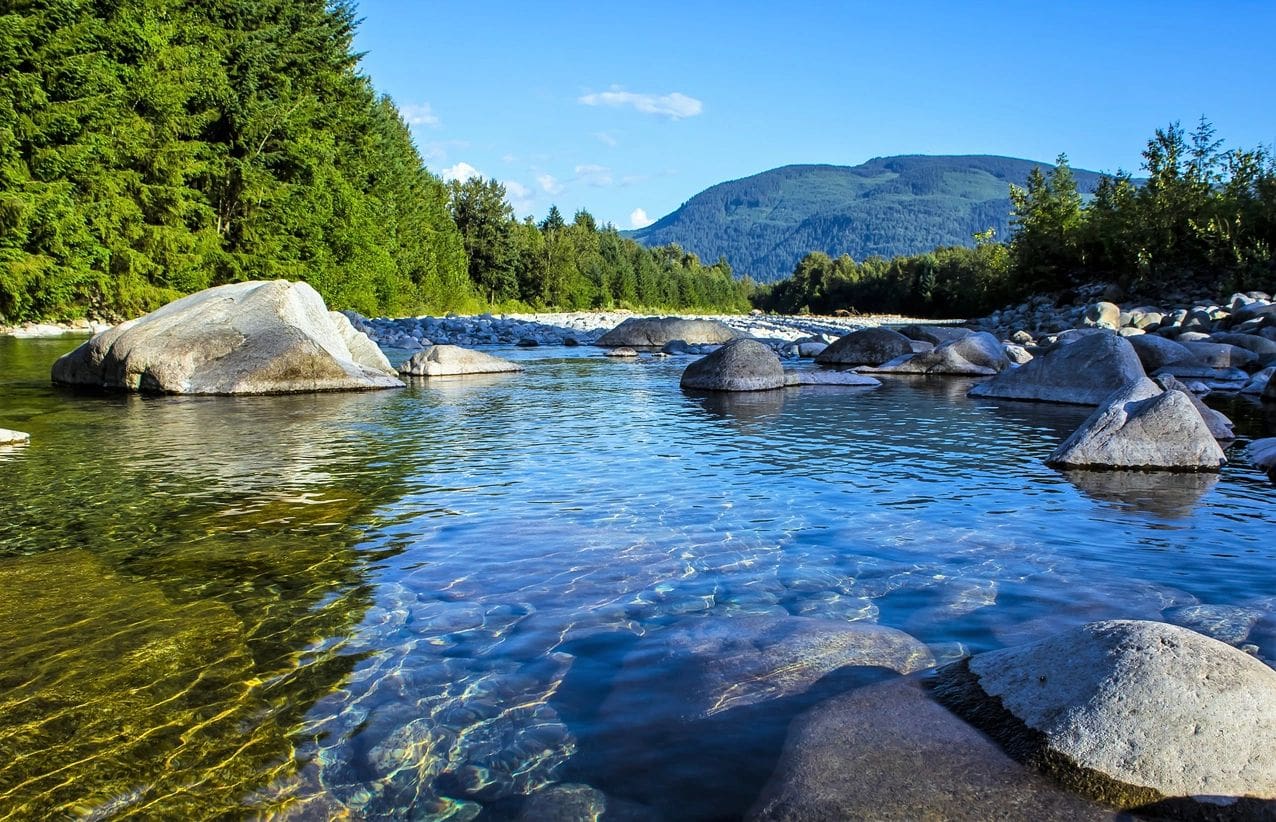 A river with rocks in it and trees around.