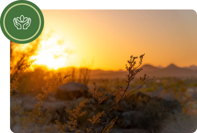 A picture of the sun setting over a desert.