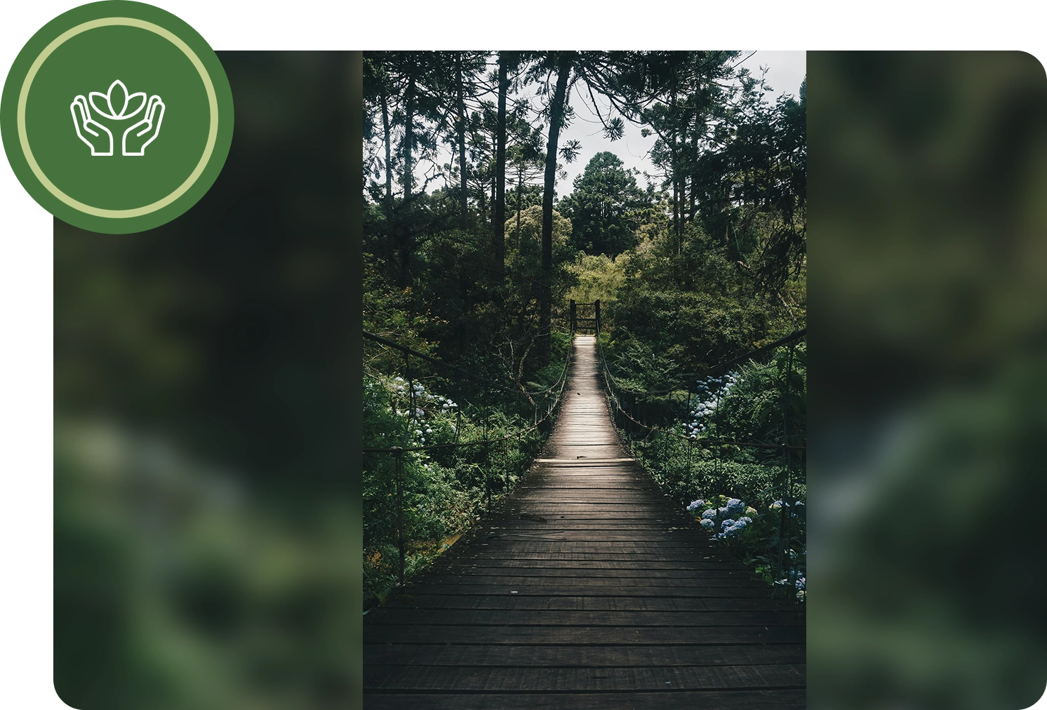 A wooden path going through the middle of a forest.